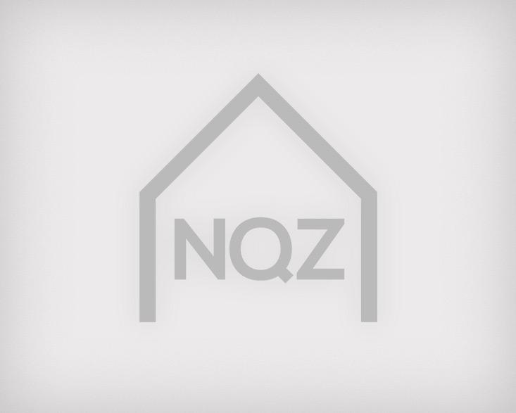 nqz logo grau